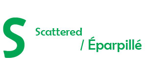 Fast Minds : Scattered / Éparpillé